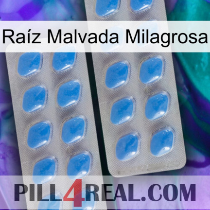 Raíz Malvada Milagrosa 23